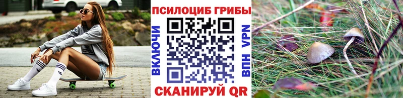 Псилоцибиновые грибы мицелий  закладка  Чудово 